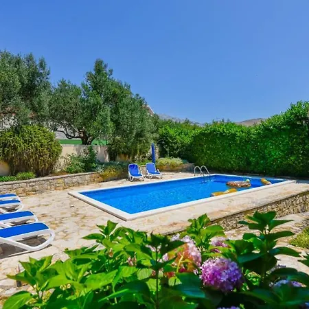 Mint - By Guide Σπλιτ