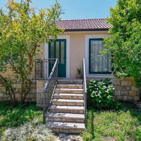 Mint - By Guide Σπλιτ